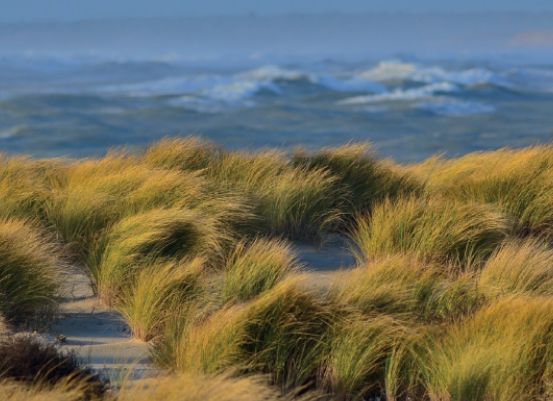 Ecobiose's tweet photo. 📣[Nouveau chapitre disponible]

Comment favoriser la #biodiversité dans les socio-écosystèmes de @NvelleAquitaine ?🧐

👉Des pistes de reflexions dans le chapitre de conclusion du rapport d'évaluation d'Ecobiose 

🔗https://t.co/vRdocqvf2p https://t.co/t8UqLmXGE0