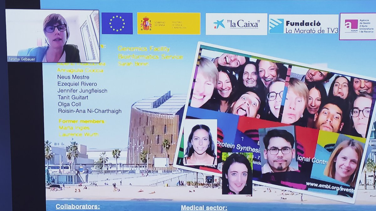 the_prbb's tweet photo. Thanks for the roughly 100 attendees to today's online seminar with Fátima Gebauer @CRGenomica and Raúl Méndez @IRBBarcelona - hope you enjoyed it, and see you in our next #PRBBtalk ! https://t.co/c2bLZHja7J
