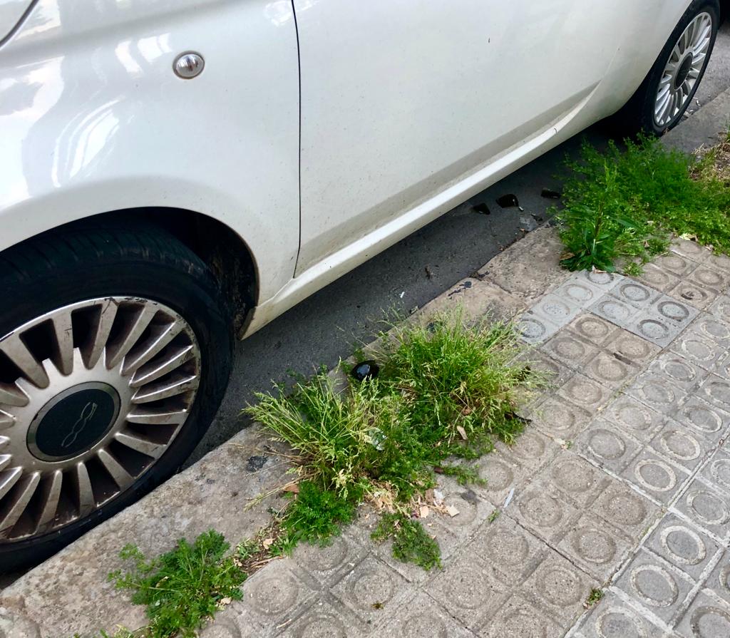 SomNatura's tweet photo. Ara és el moment de reorganitzar la ciutat en clau de SALUT.

➖cotxes

➕carril bici
➕transport públic
➕espai públic per caminar 
➕verd urbà 🌿

Per una #ciutatsaludable i resilient ens sumem a https://t.co/6U1M2UXImY

 #recuperemlaciutat #bécomú #COVID19 https://t.co/23zlmht4aY