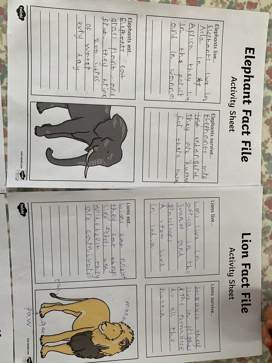 KellyKi47452481's tweet photo. @TickfordPark completed our work on African animals - one of his favourite topics anyway! #TPYear1 https://t.co/2gpZkElFwX