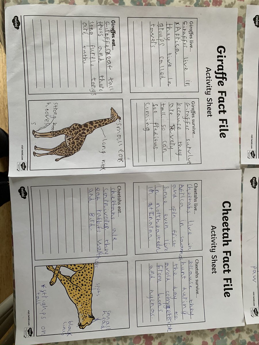 KellyKi47452481's tweet photo. @TickfordPark completed our work on African animals - one of his favourite topics anyway! #TPYear1 https://t.co/2gpZkElFwX