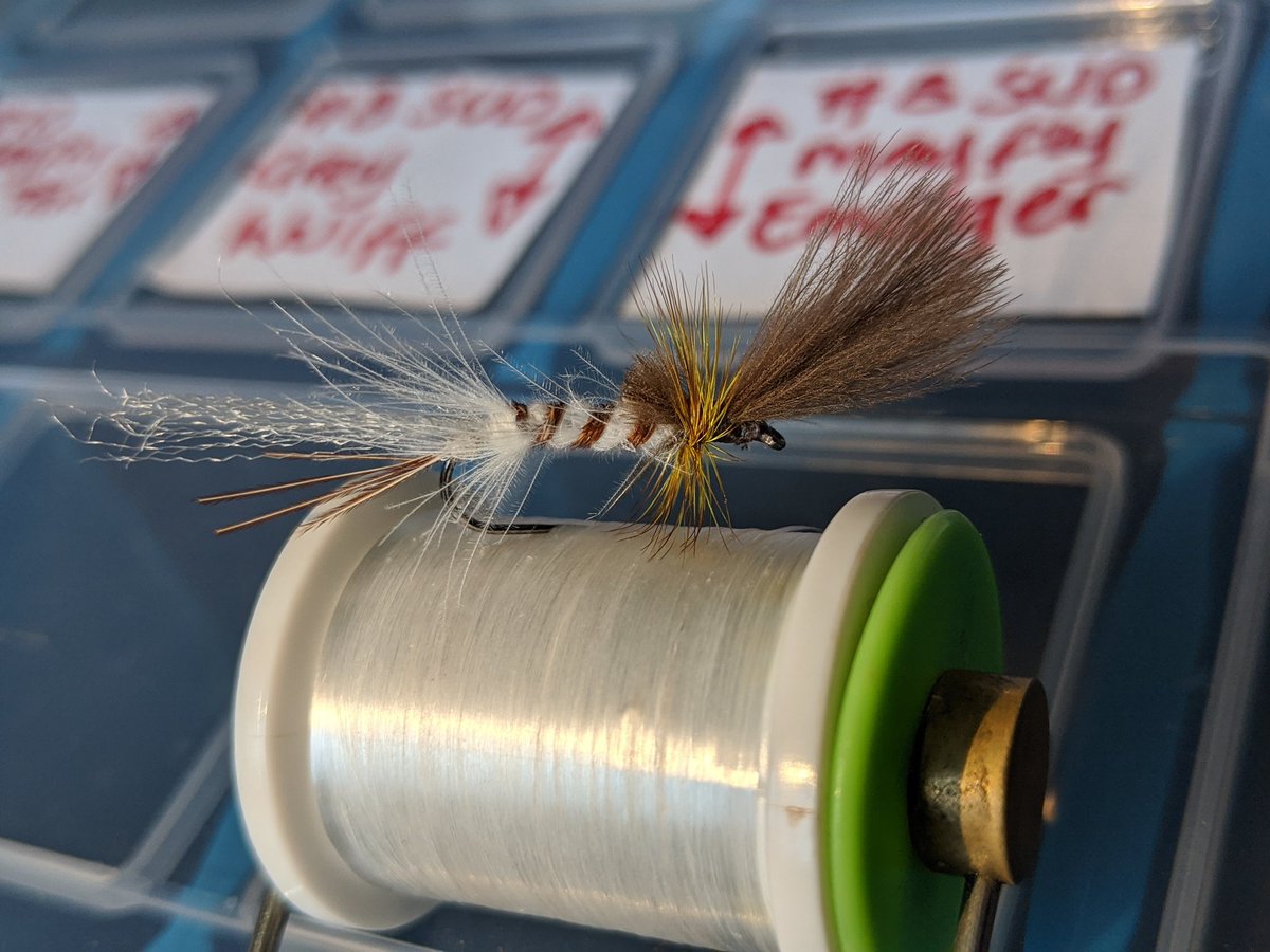 PatrickRaine1's tweet photo. Emerging Ephemera #dryfly #trout https://t.co/3jf25K0UIE