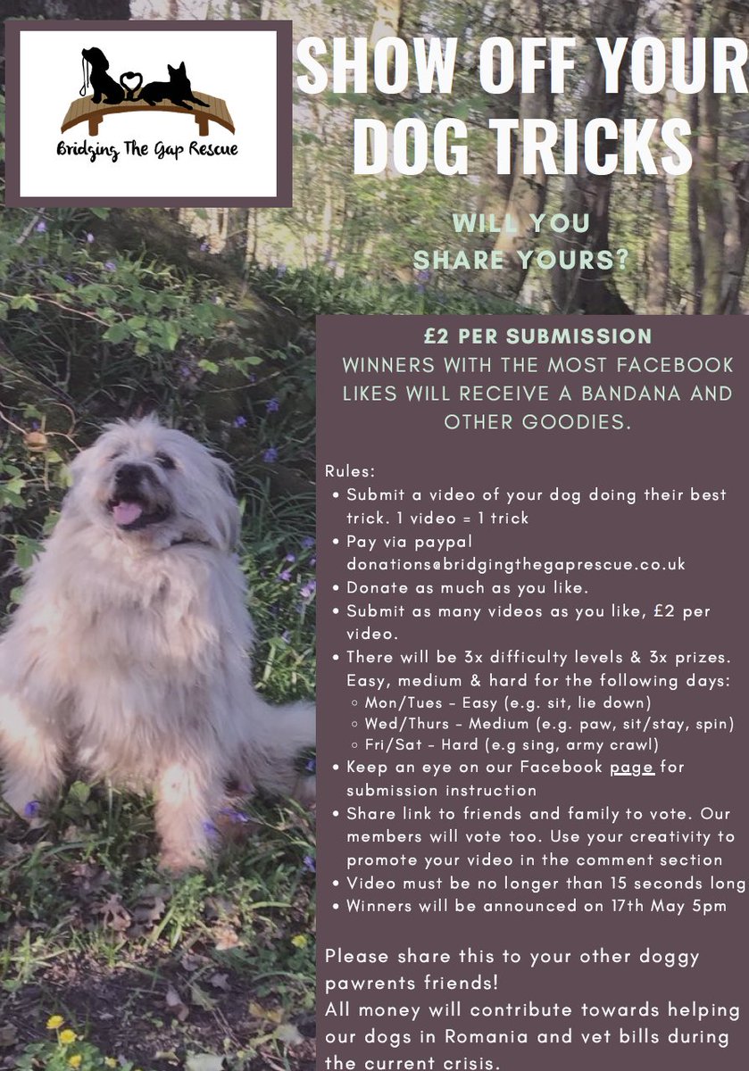 Not tunnelling related.
To dogs pawrents out there. Can your dogs do clever tricks or have been trained to be a good boi or girl? Enter this challenge to help raise money and awareness of dog rescues. This charity is ran by 100% volunteers. Please share
m.facebook.com/groups/8615501…