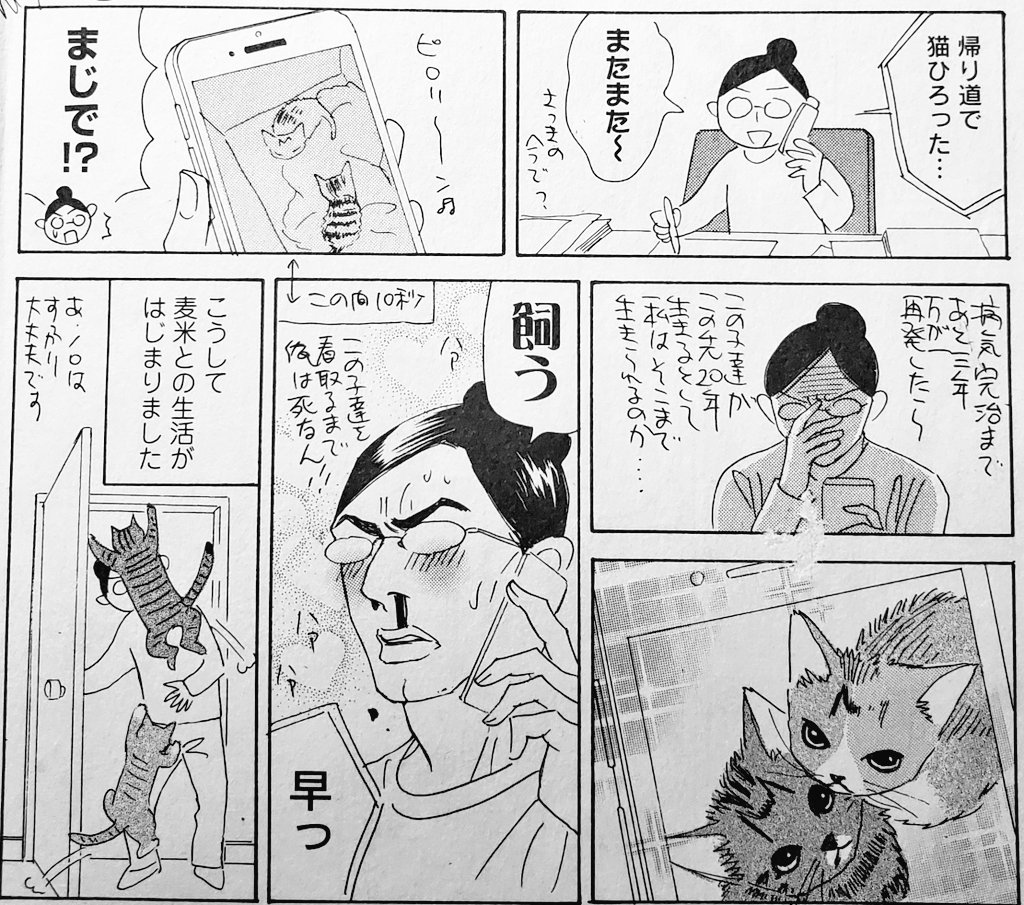 麦米がうちに来ることになったきっかけエッセイに描いてました。そろそろ猫飼いたいな~という話をしていたら、その日の帰りによしりんが麦米を保護したのでした??