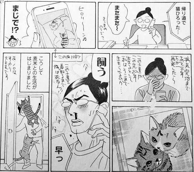麦米がうちに来ることになったきっかけエッセイに描いてました。そろそろ猫飼いたいな～という話をしていたら、その日の帰りによしりんが麦米を保護したのでした?? 