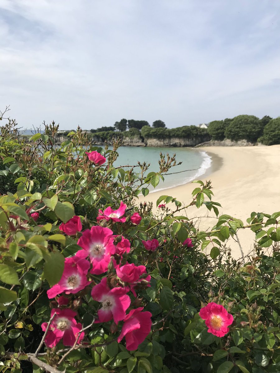katell_rouzic's tweet image. Quel plaisir de retrouver la mer #larmor #ploemeur #morbihan