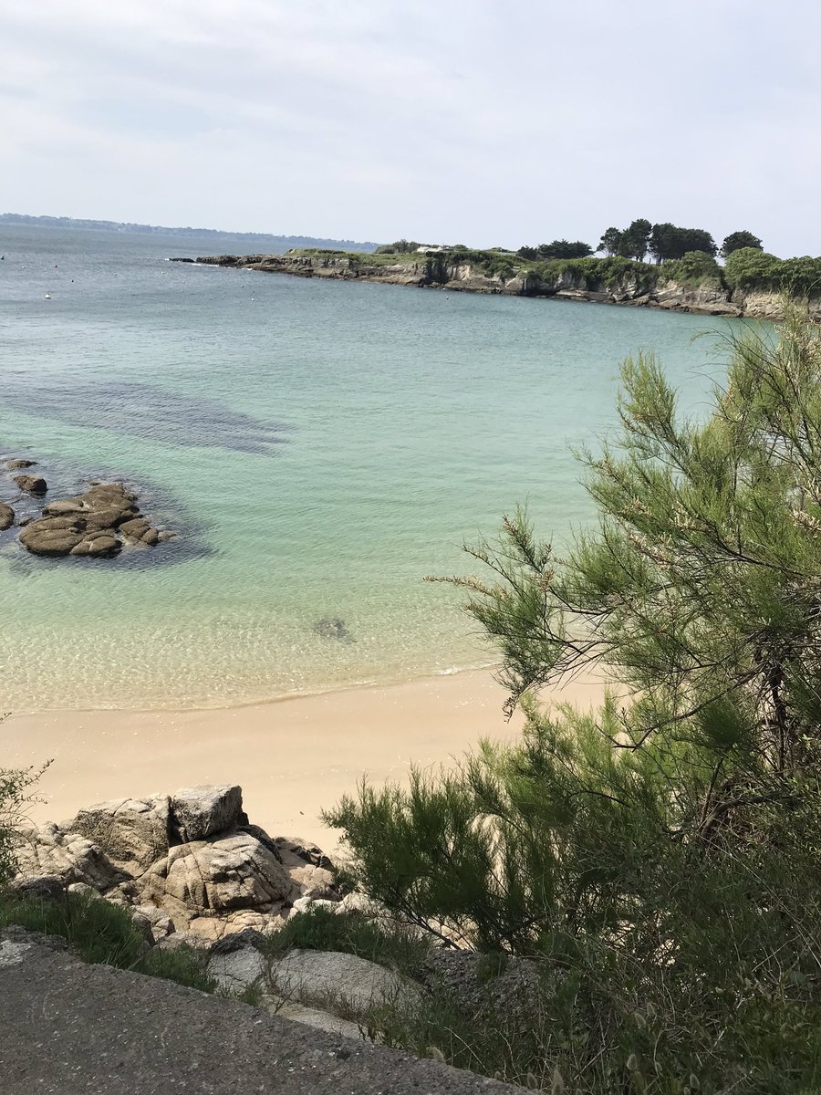 katell_rouzic's tweet image. Quel plaisir de retrouver la mer #larmor #ploemeur #morbihan