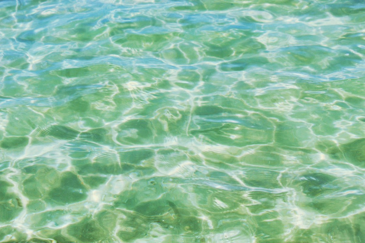 SierraRSons's tweet photo. Emerald Coast Vibes🏝
https://t.co/OOAMaPKLGu https://t.co/RwCHH74EeS