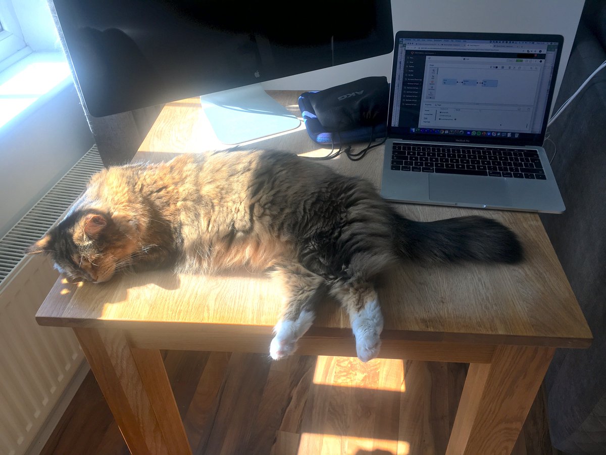 For our delivery manager Nicole, the worst thing about remote working is missing the team and that her cat seems to think her desk is a nice place to relax! Apart from that, it's business as usual!