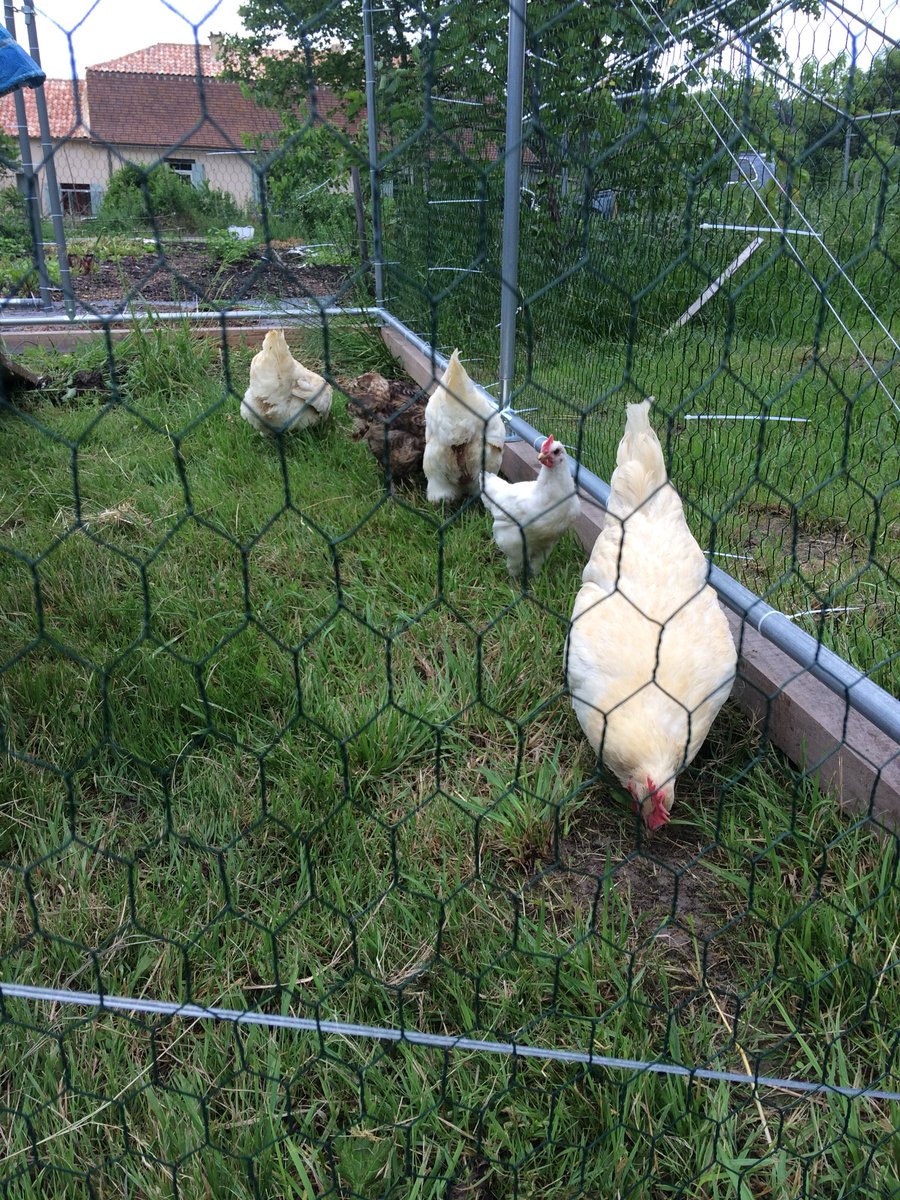VJCooperArt's tweet photo. We got dinosaurs! https://t.co/F5JTThiqcE