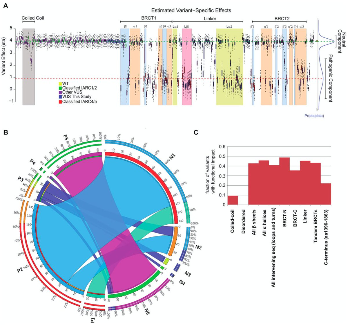 Breast CancerBRCA1 is a human tumor suppressor gene found in many breast cancers. Fernandes et al. provided a systematic analysis of the amino acid substitutions that occur at specified regions within mutated BRCA1. https://bit.ly/2zziYJr 