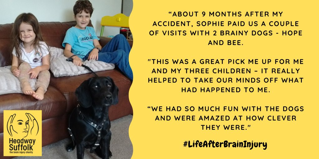 HeadwaySuffolk's tweet photo. “9 months after my accident, Sophie paid us a couple of visits with Hope and Bee.

"This was a great pick me up for me and my 3 children and helped take our minds off what had happened.

“We had so much fun and were amazed at how clever they were."

Story: https://t.co/Mb2lgVkuvI https://t.co/d0sKhEcXlh