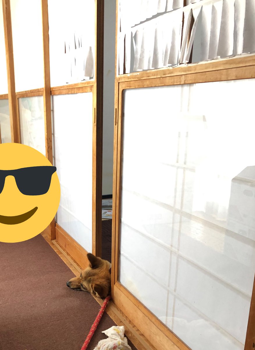 ヘムヘムヘムコ tweet media