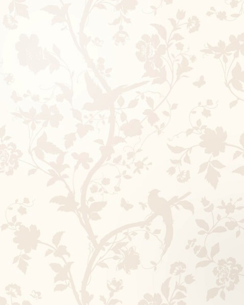 splashback_uk's tweet photo. Another happy customer, thanks for your review Lauraine. She chose our Laura Ashley Oriental Garden Pale Biscuit Glass Splashback, available here for £149 - https://t.co/WumYQuD4mu https://t.co/FTW6Eemsbc