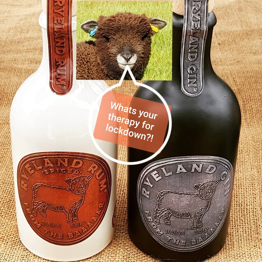 Just asking?! #lambtherapy #sheep #lockdown #spicedrum #gin #ryelandspirits #friendship #staysafe #cocktailsanddreams #ryelandspirits