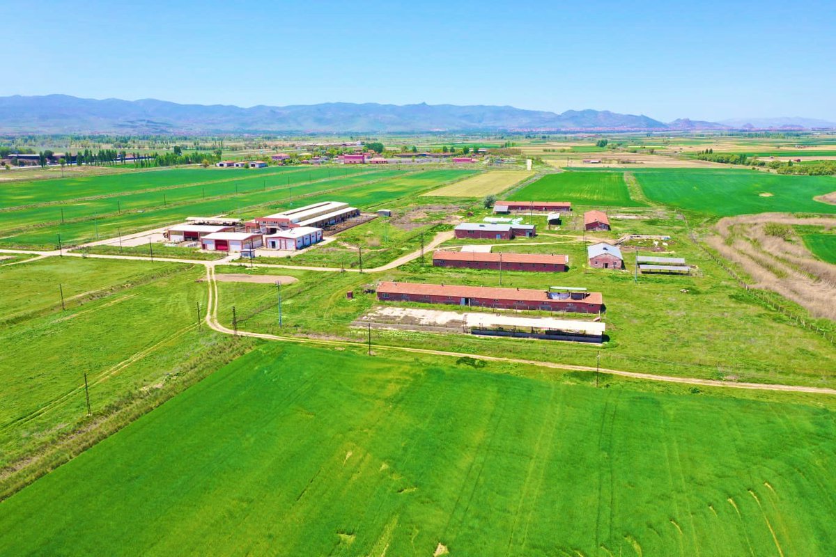 Drone ile tarlalarımızı görüntüledik problemli alanların tespitini yaptık önümüzdeki yıl için önlemlerimizi  almaya başladık. Güzel Sanatlar Fakültesi Dekanlığına, Sena Coşkun, Emin Paftalı ve Tolga Gürocak hocalarıma teşekkür ederim. <a href="/senacoskun48/">sncskn48</a> <a href="/Karakas1969/">Mehmet Karakaş</a> <a href="/trncvlk/">Prof. Dr. Turan Civelek</a> <a href="/akugsf/">AKÜ Güzel Sanatlar Fakültesi</a>