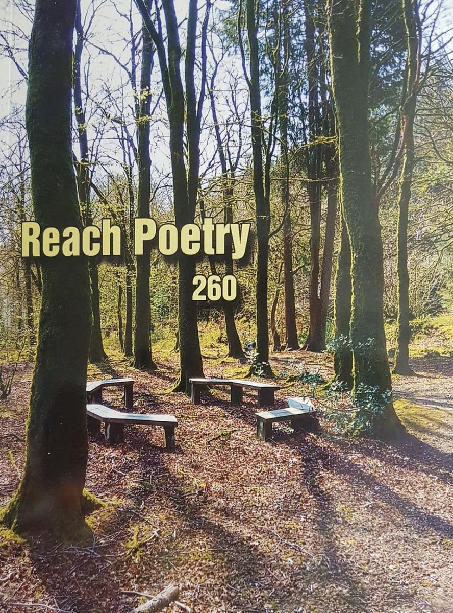 bumbleandmoss's tweet photo. #ReachPoetry Issue 260 has arrived 🙏 @IndigoDreamsPub what an issue it is too! So pleased to have my #poem #TheCapeCodder amongst so many great pieces - thank you Ronnie @Poet4theSilent Time to get the votes in 😱 #anotherdifficultjob https://t.co/zFhSgox9Rn