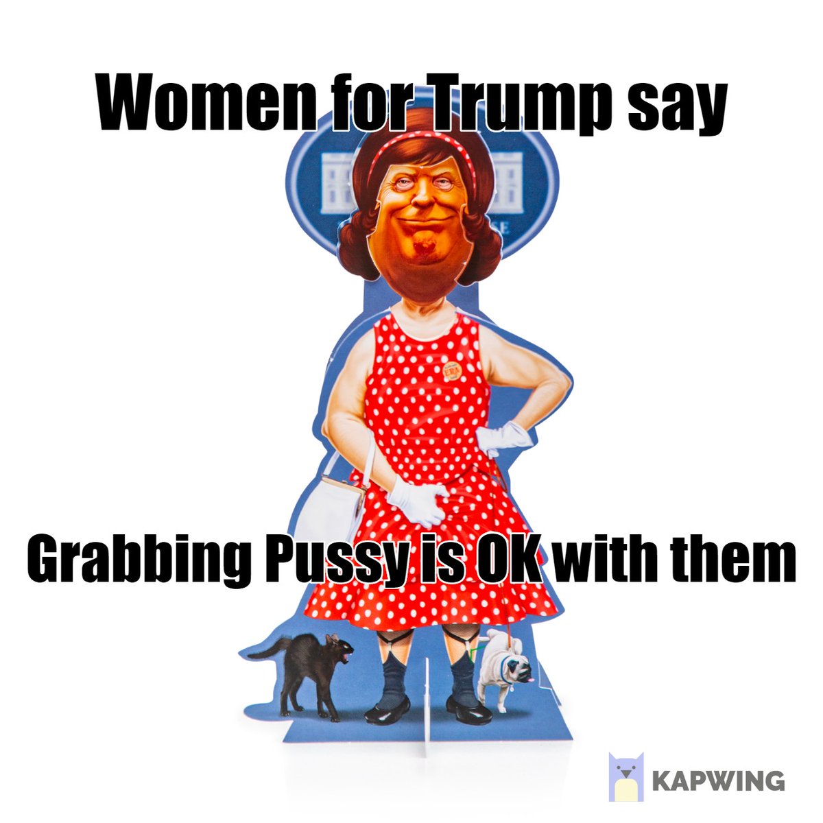 PaperTrollzUSA's tweet photo. A @CNNPolitics poll says 84% of @GOP support @realDonaldTrump  you know @POTUS which means Women for Trump are OK with pussy grabbing..REMEMBER

#papertrollz #AntiTrump #DonaldJTrump #memes #memelovers #meme #memetics #politicians #Puppet https://t.co/kA4oovrd3f