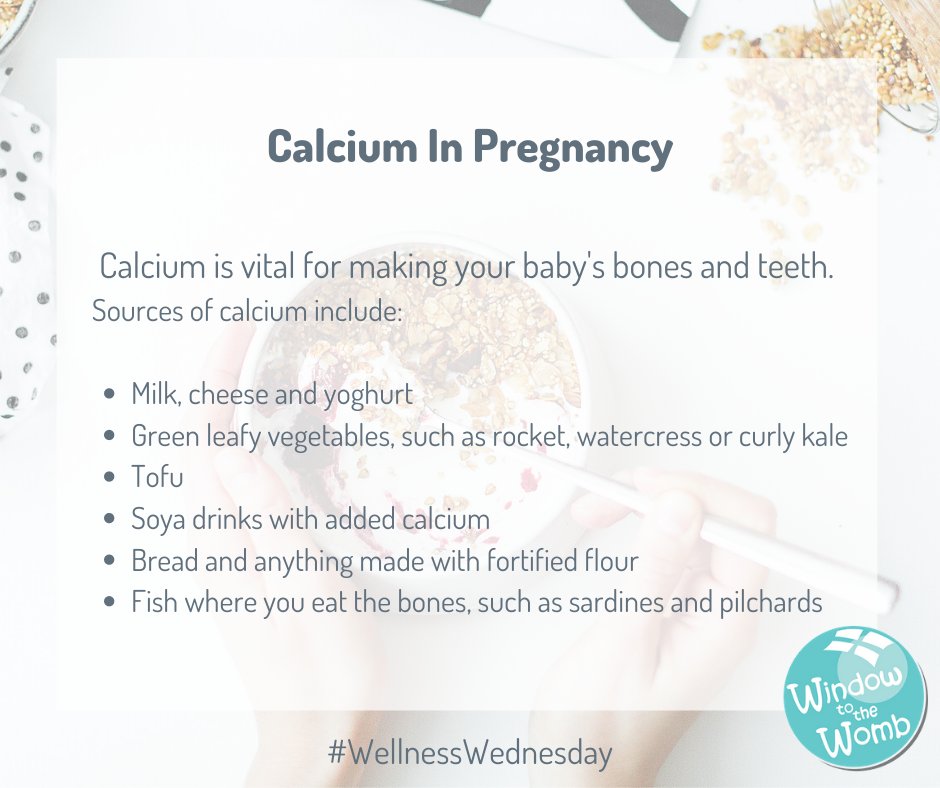 Window to the Womb tweet media