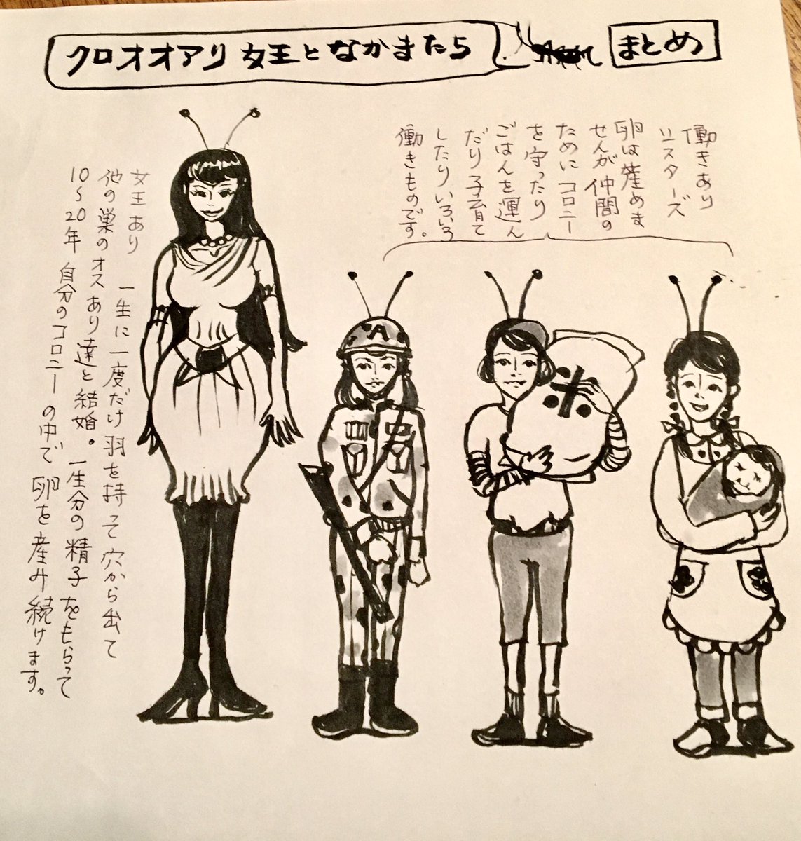 先日帰宅中見た事のない2㌢位のデッカいアリを見つけてしまい大慌てで写メり、走ってお家に帰って調べたら空中結婚を終えて翅を落とし、卵を産み落とす物件探し中のクロオオアリの新女王だったのです。興奮覚めやらぬうちにまとめたので、拡大しつつぜひ読んで下さい。間違ってたらごめんなさい。