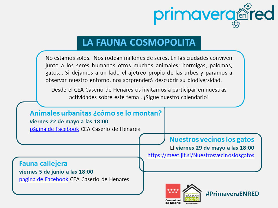 CENTROCAMPILLO's tweet photo. ¡Campilleras y campilleros! Os invitamos a la presentación de las actividades sobre la #faunacosmopolita que, dentro del programa #PrimaveraENRED, han preparado nuestros compañeros del CEA Caserio de Henares 🐱🐦🦋🐝🐜.
¡No os lo perdáis!
https://t.co/N2LRVPmIgG https://t.co/dhh4P0oXjJ