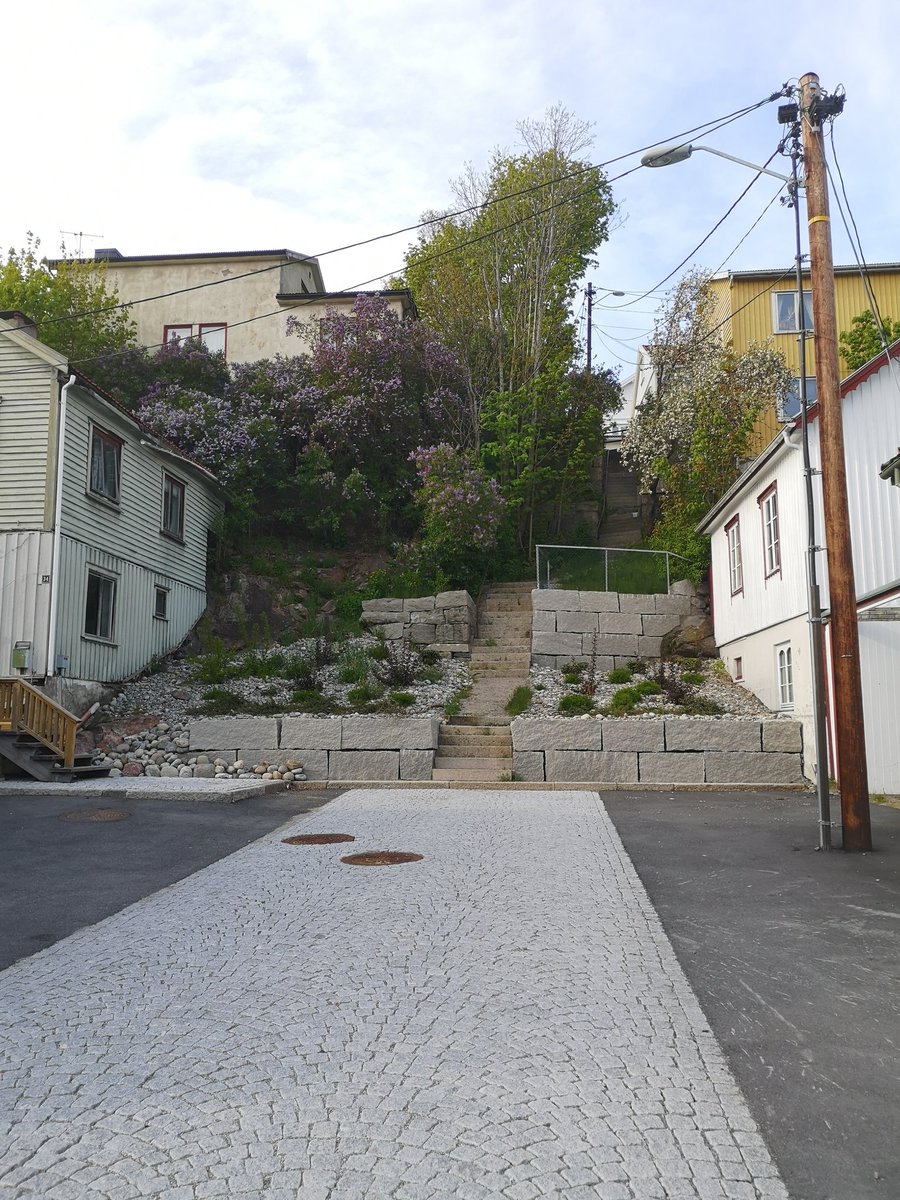 Some nice pictures i took yesterday. It felt like i had to. Since it looked nice in my eyes.