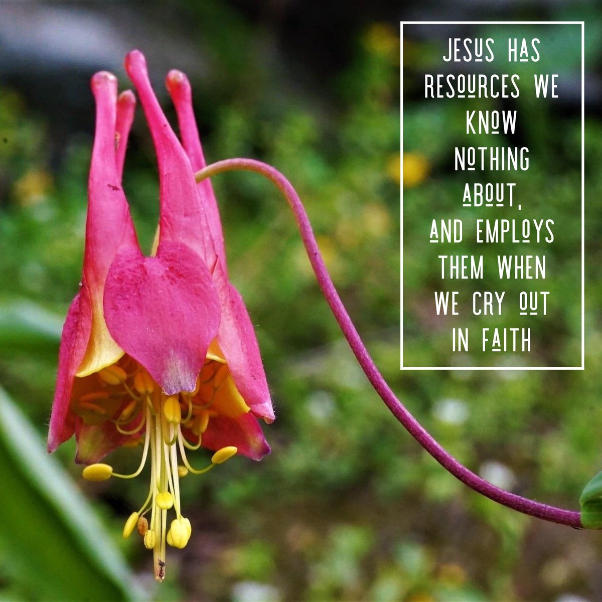 Rich Earl (@goodground) on Twitter photo 