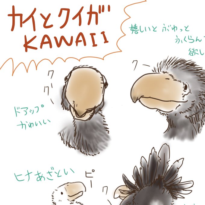 ナウシカのtwitterイラスト検索結果 古い順