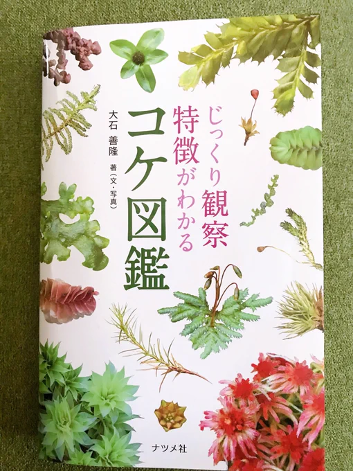 こんやの本?
本の写真ほぼみどりだからだんだんわかめに見えてきてわかめたっぷりのお味噌汁のみたくなってきた 