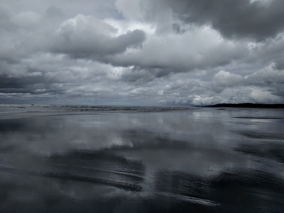 Copalis_Beach's tweet photo. #CopalisBeach #NegativeTide #NaturePhotography  #WashingtonCoast #nature https://t.co/biqvgGfp19