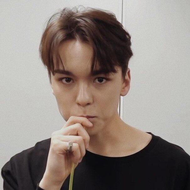 vernon ♡