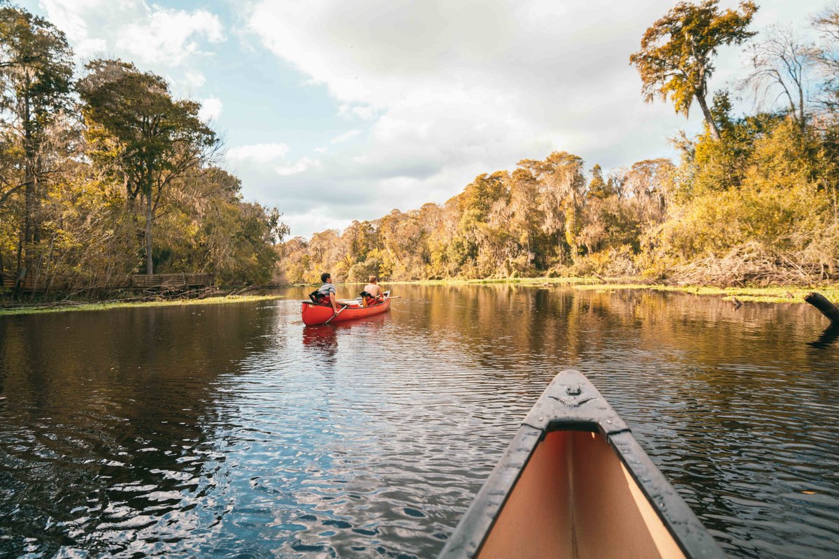VisitTampaBay's tweet photo. It's a beautiful day for this kind of view. 🛶 @CanoeEscape #UnlockTampaBay https://t.co/wPJEQ3OUzq