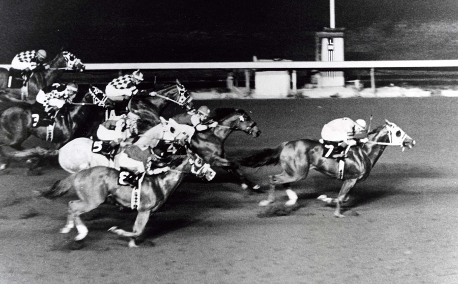 AQHARacing's tweet photo. It was 34 years ago today that First Down Dash won his debut in a maiden race @losalracing . The son of Dash For Cash (pictured winning the 1987 Los Al Derby) won 13 of his 15 career starts before following in the footsteps of his sire to become a tremendous stallion. #AQHARacing https://t.co/1oG8GogKNM