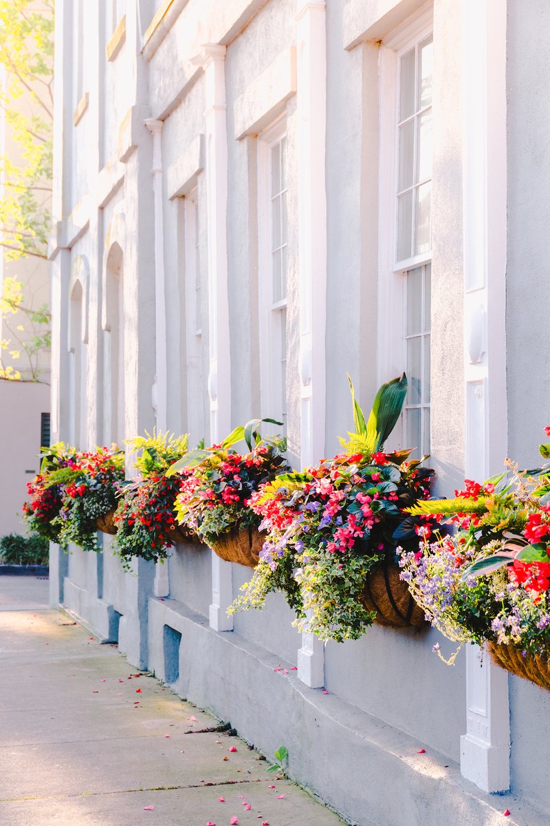 ExploreCHS's tweet photo. Name Charleston your favorite city in America in @CNTraveler's 2020 Readers' Choice Awards! Vote now: https://t.co/UlexOekrnk https://t.co/s8txgr4PD7