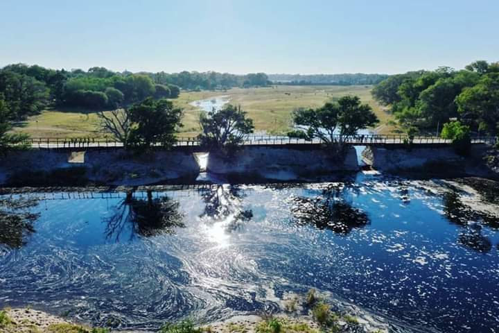 ZeePhemo's tweet photo. This morning by Old Backpackers Bridge by Matlapana in Maun. Next week, if lockdown is lifted, one will be able to enjoy a meal & drink watching the crocodiles basking on the shores of the Backpackers restaurant
#MaunKaMonatji
#ThamalakaneFlowsAgain
#lockdownBotswana https://t.co/bQ0n5EXwib