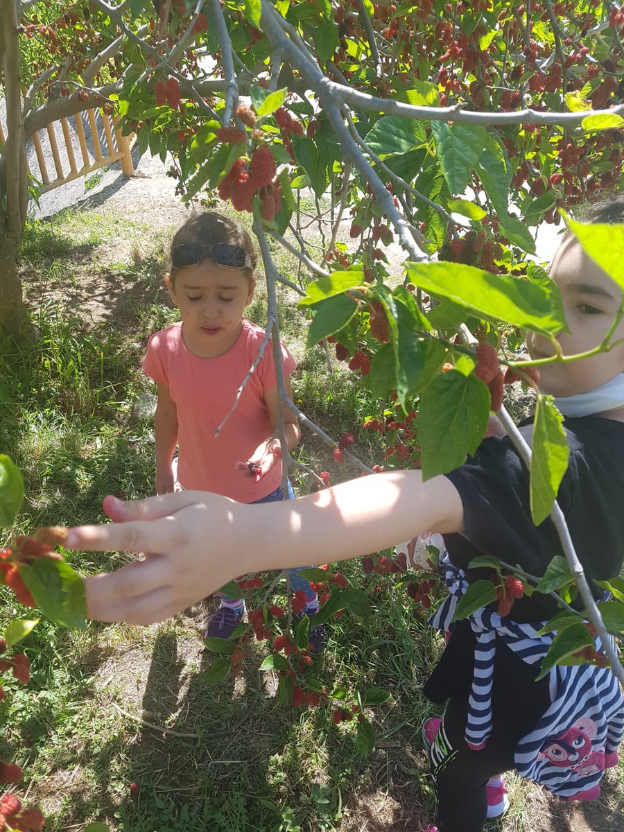 ErezIrim's tweet photo. #muğlamem #milasmem #yeniköytek 
Yeniköy tek ilkokulu anasınıfı sokakta 🥰 https://t.co/IUh1pkGEYw