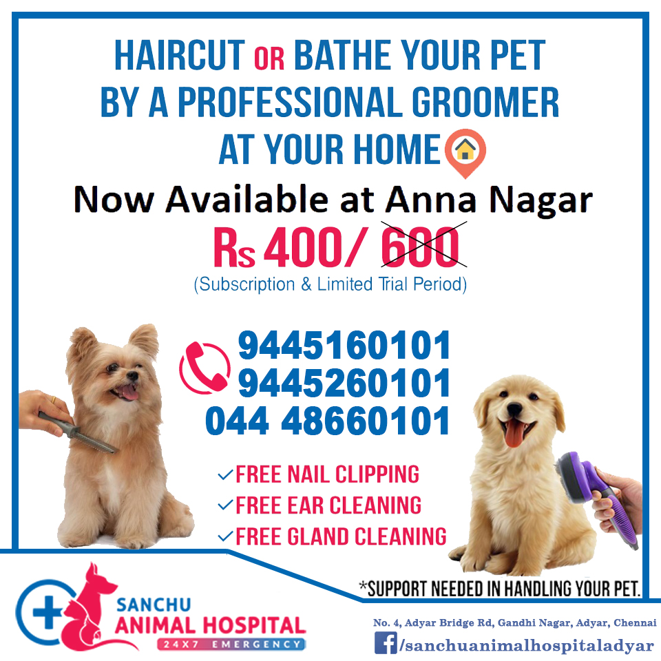 Sanchu animal hospital (@AnimalSanchu) / Twitter Sanchu animal hospital (@AnimalSanchu) / Twitter