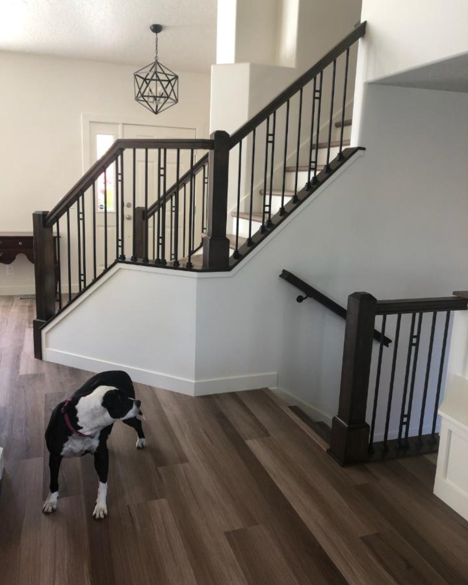 Stair Parts On Twitter This Goes Out To All Those Pets Sad Their Humans Are Returning To The Office And To Our Unique Aalto Collection Too Https T Co Hf8tf48ppj