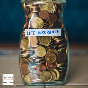 SarahDufferIns's tweet photo. If you're on a tight budget (and who isn't these days?) life insurance is still within reach with Shelter's EZ Term® policy. Learn more about it: https://t.co/ObkslMR2hR https://t.co/xRzwQBxsiT