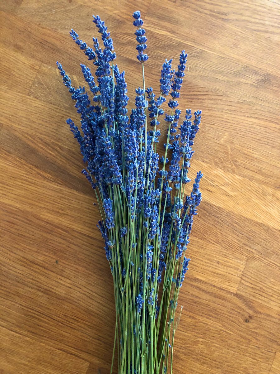 We’re rethinking empathy in the inbox at <a href="/lavenderhq/">Lavender 💜</a> by Sorter.

Waitlist open for beta Chrome users @ trylavender.com

#TryLavender 💜