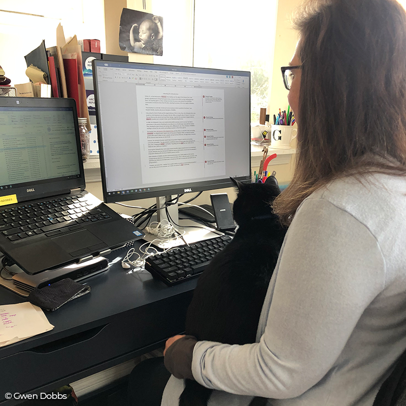 Defenders's tweet photo. Meet Blackberry! He likes to be close by for Gwen Dobbs, our media relations director, as she works on communication plans &amp; press statements, including 1 about the #RioGrandeNationalForest management plan &amp; its bad news for #wildlife: https://t.co/xFMl2wQgag #RemoteDefending https://t.co/9JdyDRMinM