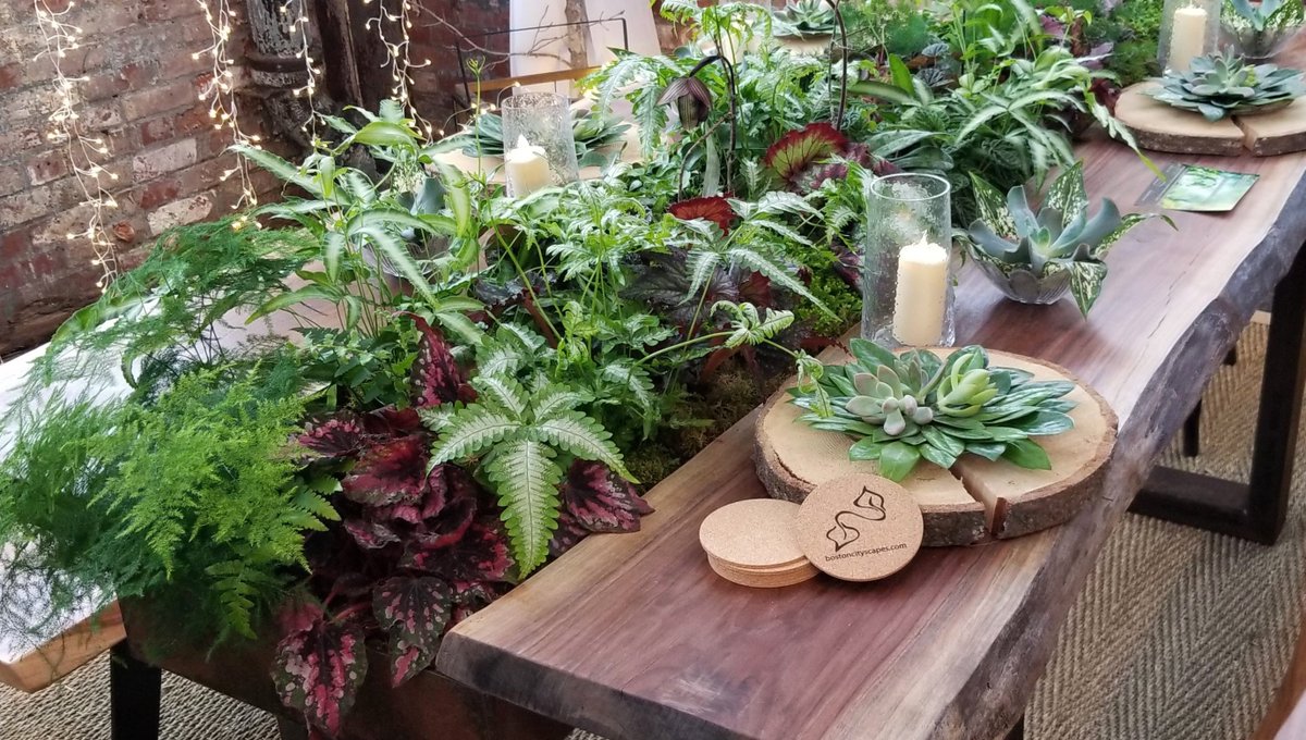 Bring your #outdoor furniture to life with custom-made #LivingFernature from <a href="/CityscapesInc1/">Cityscapes</a>! #Biophilia #LiveWellLiveInspired #PowerofPlants #Utopia