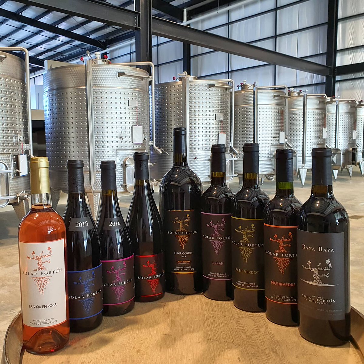 SolarFortun's tweet photo. ¡Alineación Solar Fortún! 🍷🍇 ¿Cuál es tu favorito? https://t.co/DmBFD0RfqG