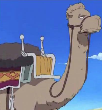 AtlantisFestLV's tweet photo. As this week goes, don't forget to drink water! Stay hydrated. We want you to make it through. It's going to be okay. It's okay to be an angry camel sometimes. And it's okay if you go to Atlantis Festival. https://t.co/dCvQI74TXS