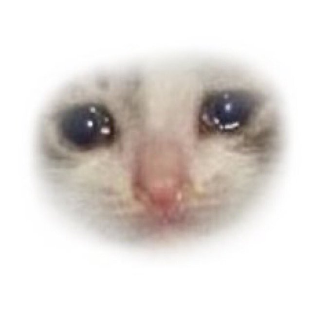 грустные мемы. мем грустные глаза. котенок плачет. кот плачет мем. грустный мем.