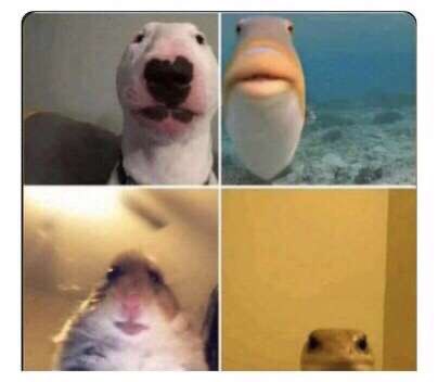 f3maledog's tweet photo. the group chat realizing we all had different prompts #aplit https://t.co/6MBVoh792y