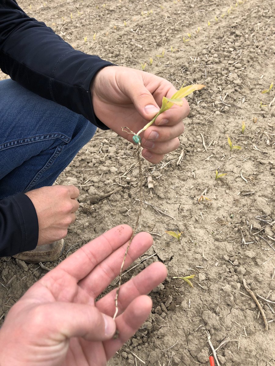 Riggs Ag Solutions, Inc. tweet media