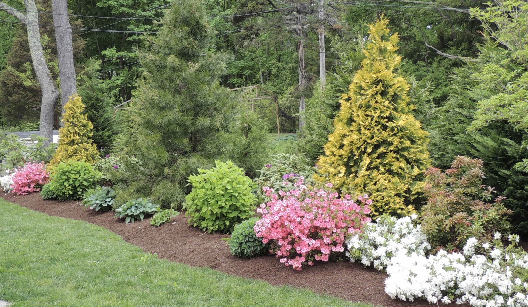 Ames Kaiser on Twitter "Need mulch? At Kaiser Tree/Ocean State Tick