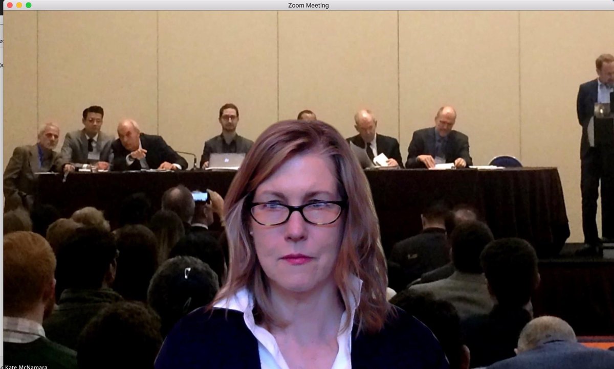 ProfKMcNamara's tweet photo. Wherein I use a background photo of an epic @isanet Manel to make a point about the gendered construction of IR’s Grand Strategy debate. #FunWithZoom #QuarantineDiscussions  #womenalsoknowstuff https://t.co/39o8kr92uO