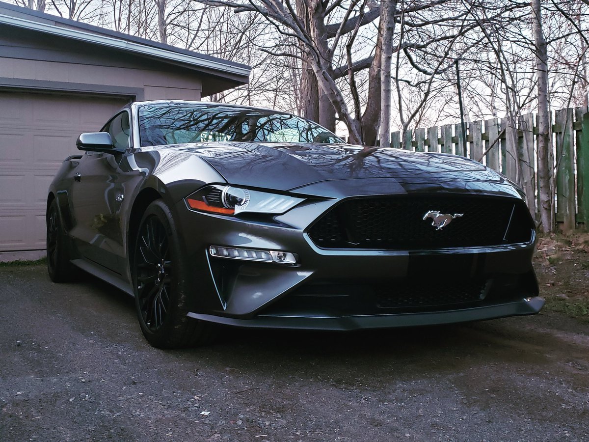 Bat__Mom's tweet photo. One of the many perks of my job is getting to drive our incredible Mustangs !! 
#lovemyjob #mustangseason #somedayillhaveone https://t.co/ZBoWJfh6DD